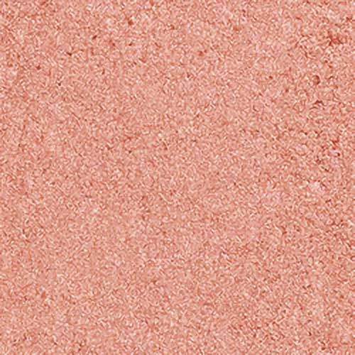 Shiseido Colour + Glow Enhancer 04